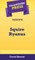 Short Story Press Presents Squire Ryanus