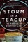 Storm in a Teacup
