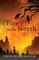 A Fire in the North