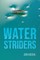 Water Striders