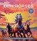 Editors of Chartwell Books: Beautiful Horses Coloring Book