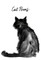 Cat Poems
