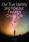 Our True Identity and how our Feelings Create Life