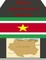 Business Opportunities in Suriname