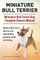Miniature Bull Terrier. Miniature Bull Terrier Dog Complete Owners Manual. Miniature Bull Terrier book for care, costs, feeding, grooming, health and training.