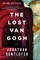 The Lost Van Gogh