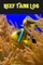Reef Tank Log
