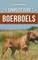 The Complete Guide to Boerboels