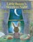 Little Bunny's Sleepless Night