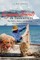 The Cayman Islands in Transition
