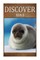 Seals - Discover