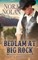 Bedlam at Big Rock