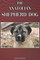 The Anatolian Shepherd Dog