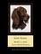 Irish Setter