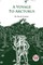 A Voyage To Arcturus