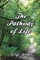 The Pathway of Life