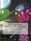 How to Grow Medical Marijuana