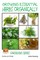 Growing Essential Herbs Organically