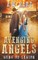 Avenging Angels