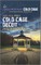 Cold Case Deceit