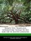 Roads Less Travelled: Interesting Things to Do and See in South Carolina