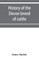 History of the Devon breed of cattle