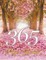 365 Page Journal