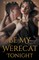Be My Werecat Tonight