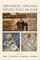 Orthodox Christian Perspectives on War