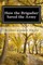 How the Brigadier Saved the Army