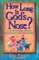 How Long Is God's Nose?