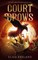 A Court of Crows