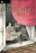 The Borrowers Aloft