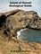 Island of Hawaii Geological Guide