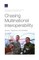 Chasing Multinational Interoperability