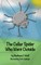 The Cellar Spider Who Went Outside