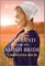 A Husband for an Amish Bride