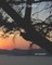 Stories for Summer