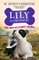 Lily to the Rescue: The Not-So-Stinky Skunk