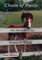 Chain of Foals Color Edition