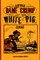 Little Dame Crump and her white pig (1888)