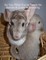 So You Think You're Ready for Babies - A Guide to Breeding Chinchillas