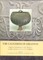 The Cauldron of Ariantas