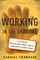 Working in the Shadows