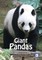 Pandas