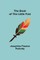 The Book of the Little Past