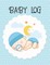 Baby Log