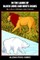 In the Lands of Black Lions and White Bears