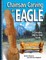 Chainsaw Carving an Eagle