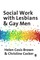 Social Work with Lesbians and Gay Men